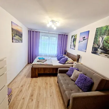 Room4U Mieszkania W Centrum Schreiberhau Exterior foto