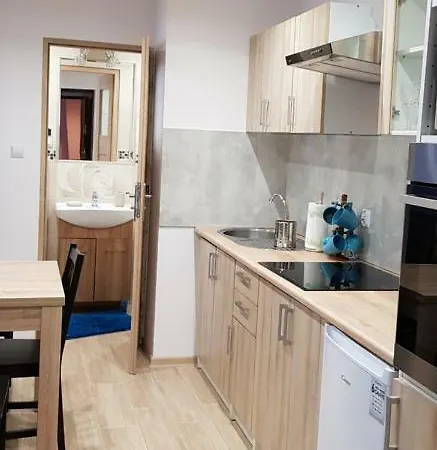 Room4U Mieszkania W Centrum Schreiberhau Exterior foto